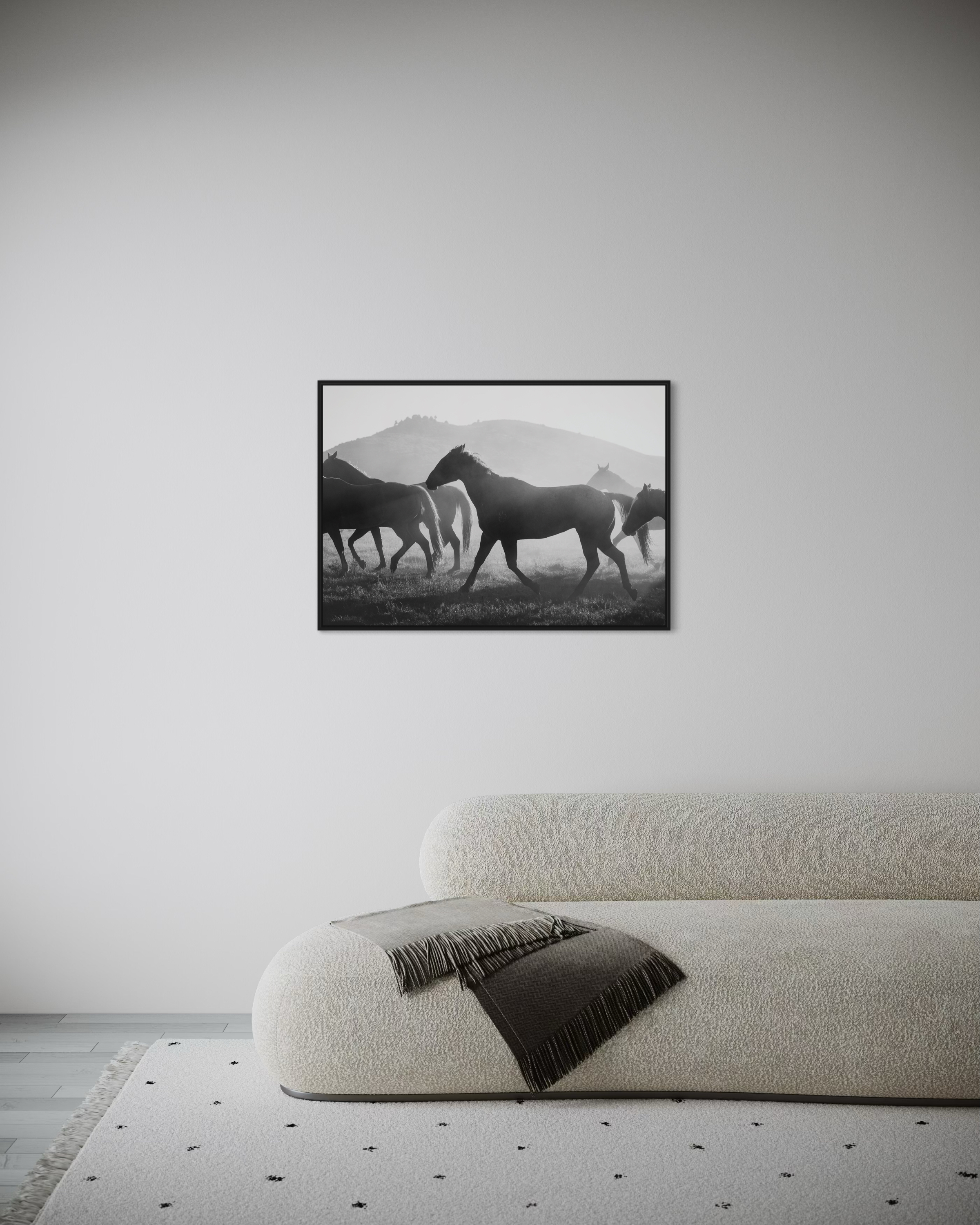 Herd Of Horses - Poster - 3
