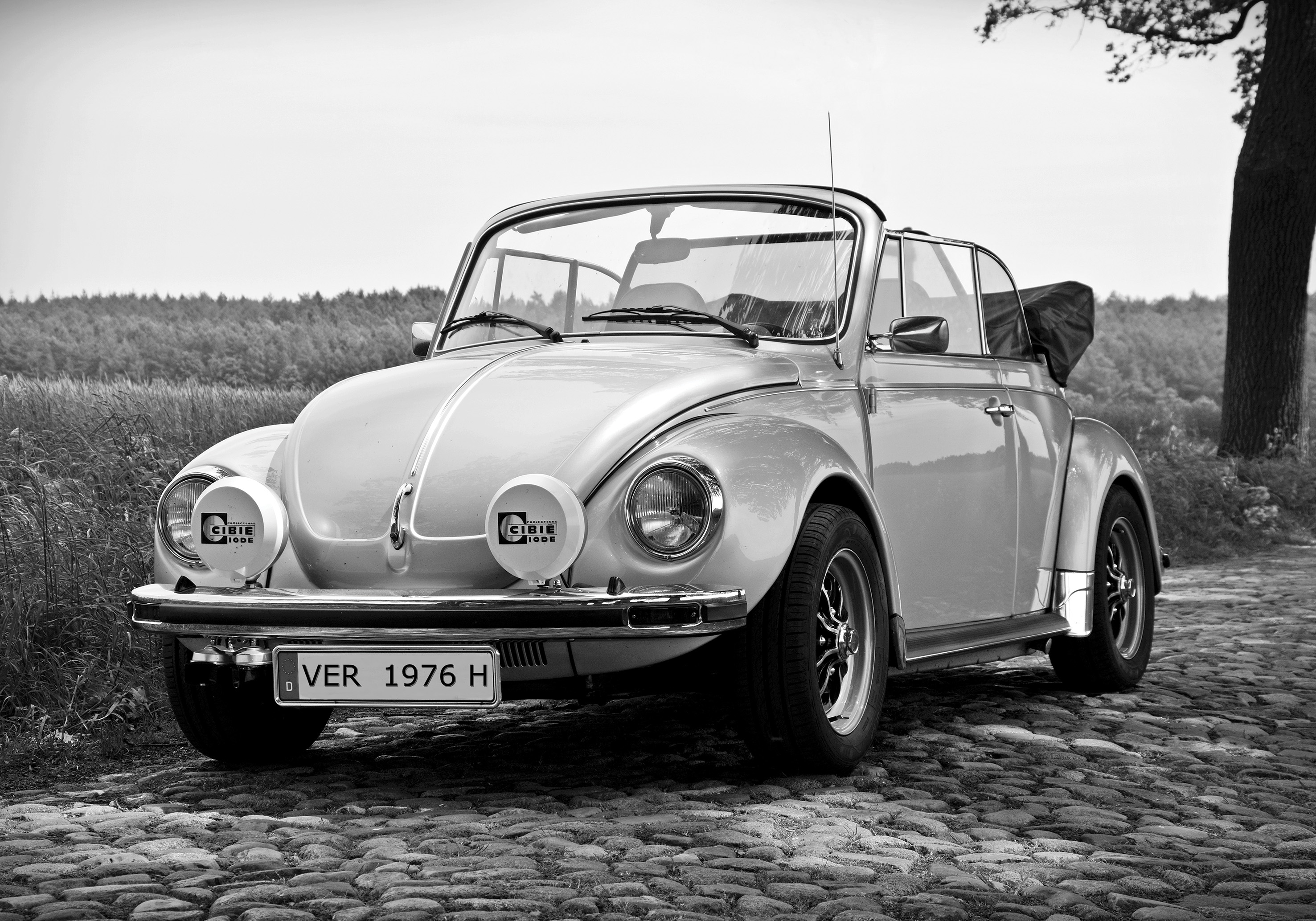 Beetle Cab - Poster - 2