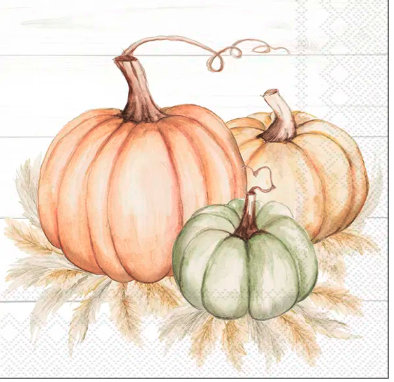Servetter - PUMPKIN TRIO - Kaffe