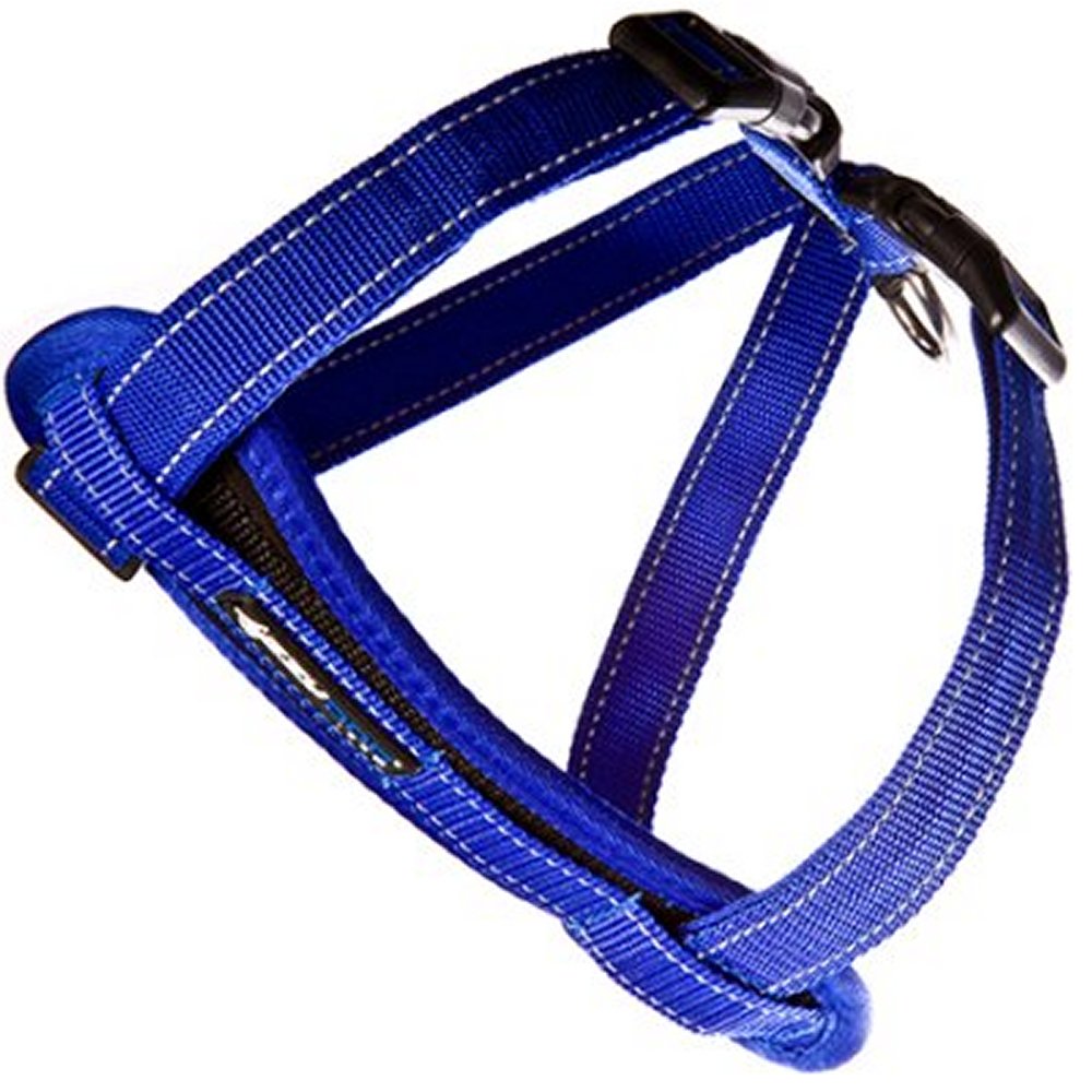 Ezydog Bil/Promenad sele Blå XSmall