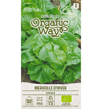 Sallad Merveille D'Hiver Organic Way