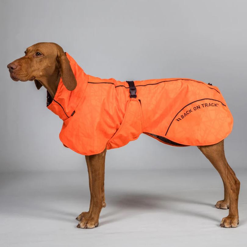 Back on Track Bay Hunderegenmantel - Orange/Hoher Rutenansatz - fusiontex