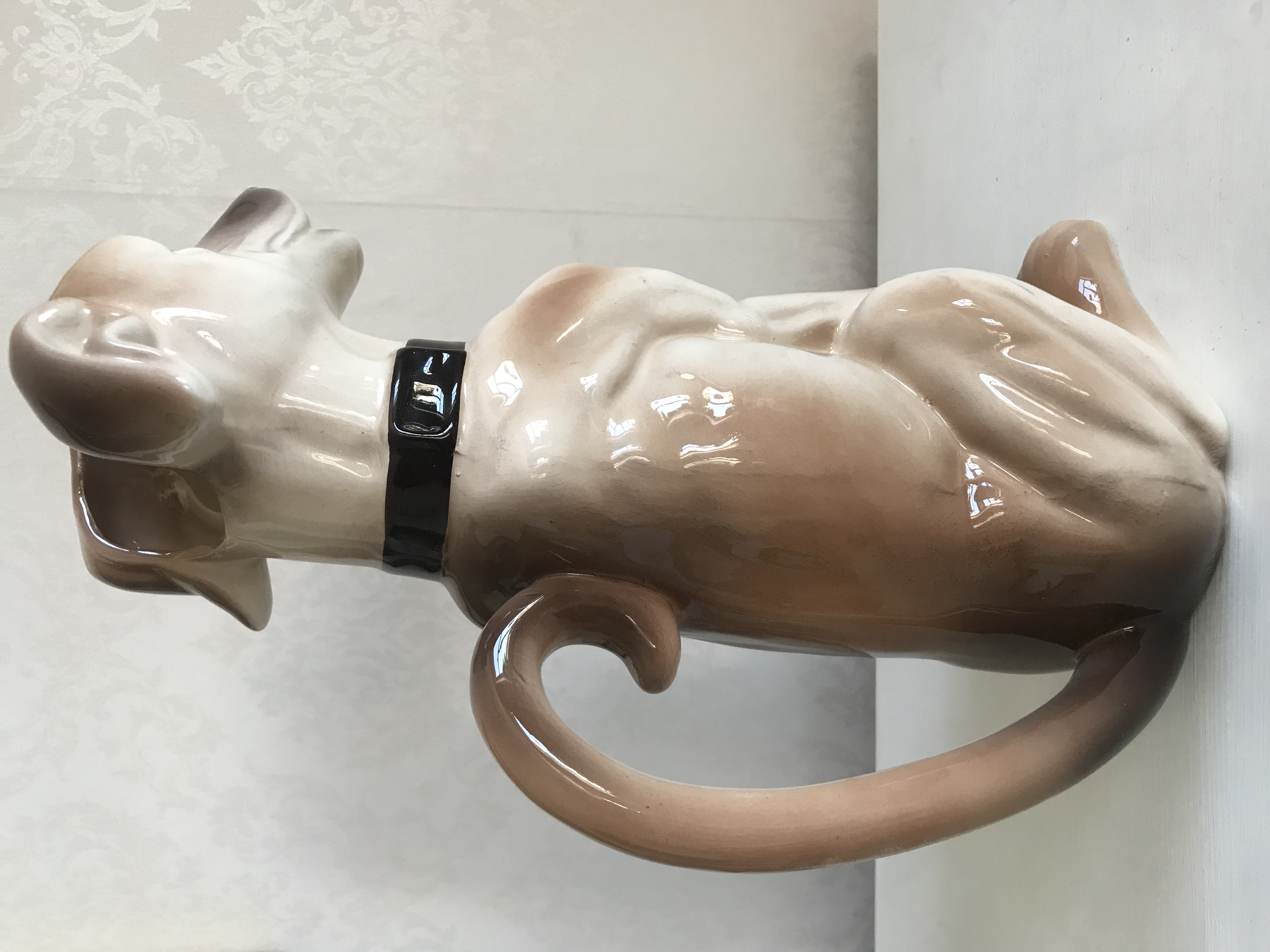 KANNA - GREYHOUND - 3