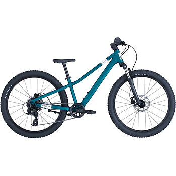 Scott Roxter 400 Petrol 24"