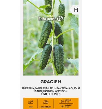 Gurka Gracie  H