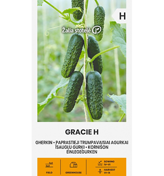 Gurka Gracie  H
