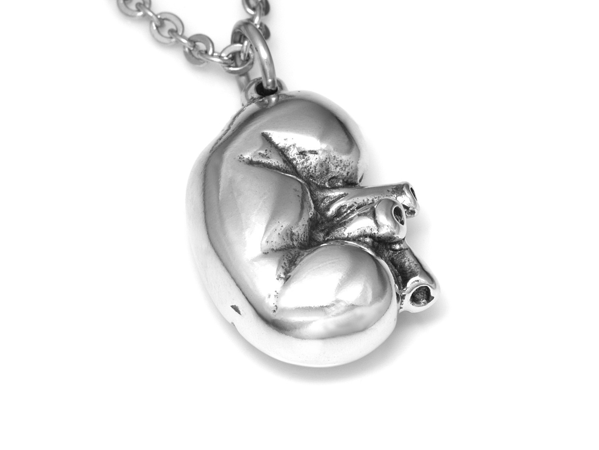 Anatomisk Njure Halsband, Handgjort Anatomi Smycke