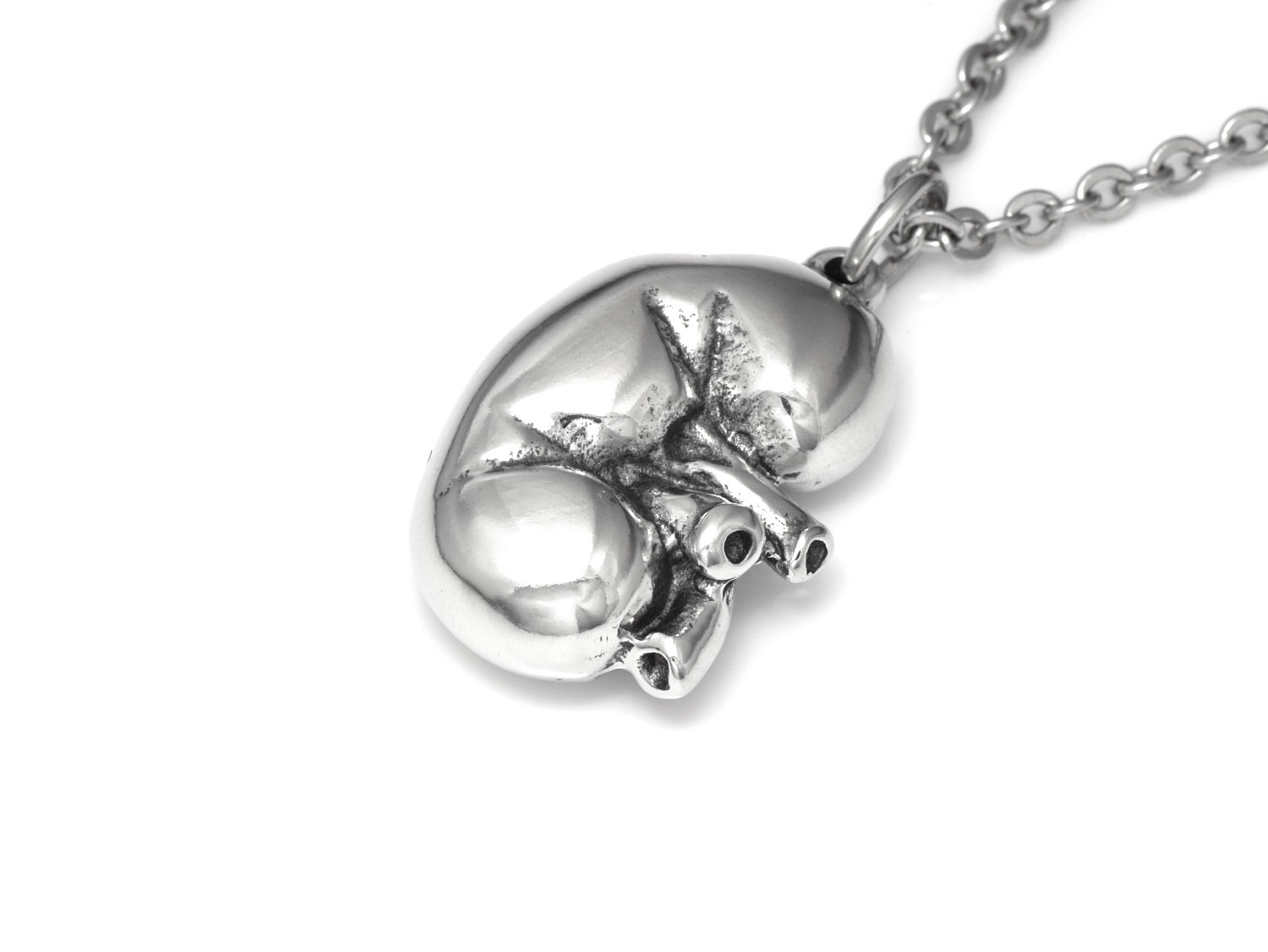 Anatomisk Njure Halsband, Handgjort Anatomi Smycke - 2