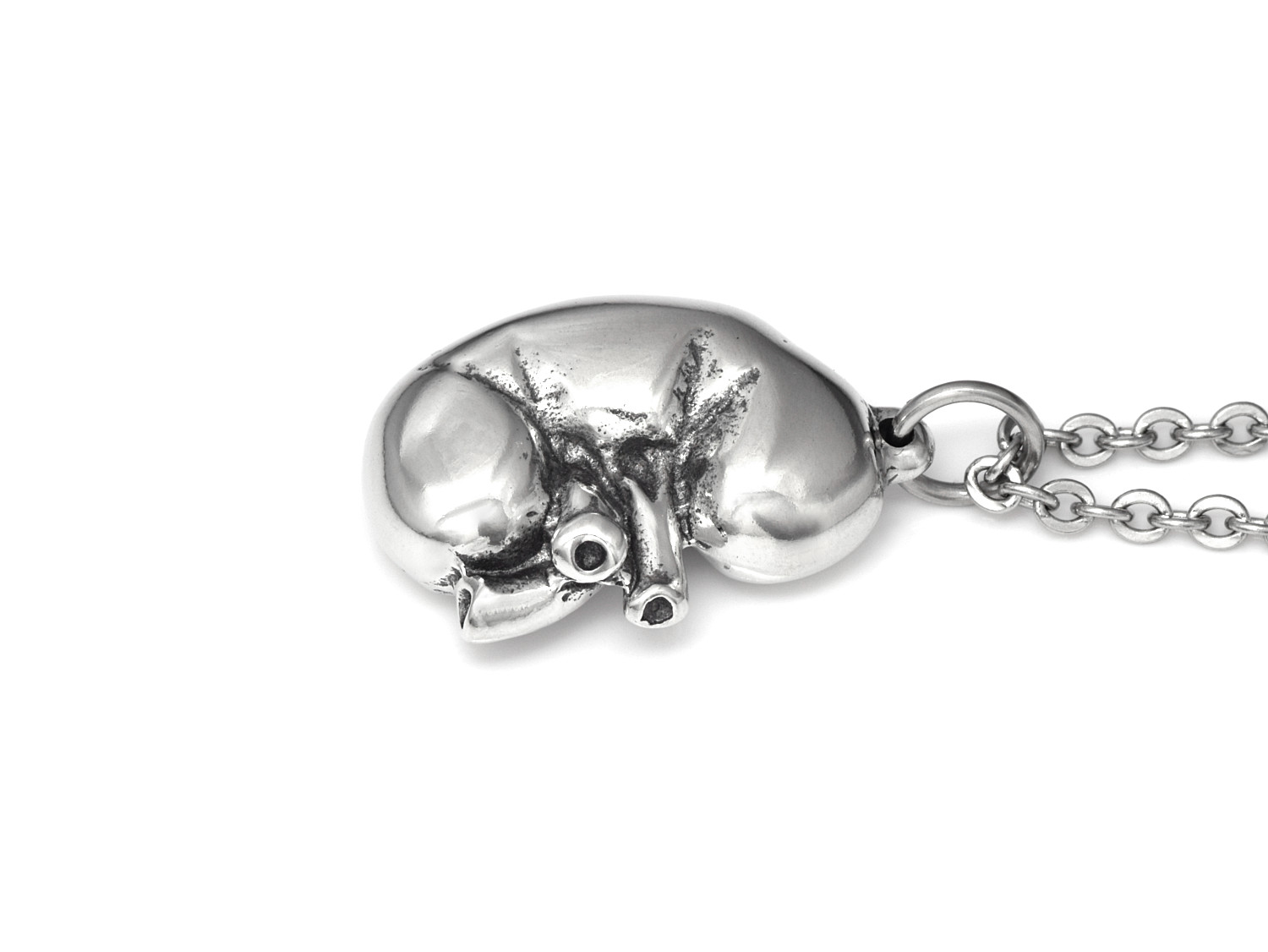 Anatomisk Njure Halsband, Handgjort Anatomi Smycke - 3