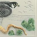 Staffan Johnson (WWF 1991) White Wall Plaque with Peregrine Falcon Motif 32 cm