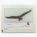 Staffan Johnson (WWF 1987) White Wall Plaque with Eagle Motif 32 cm