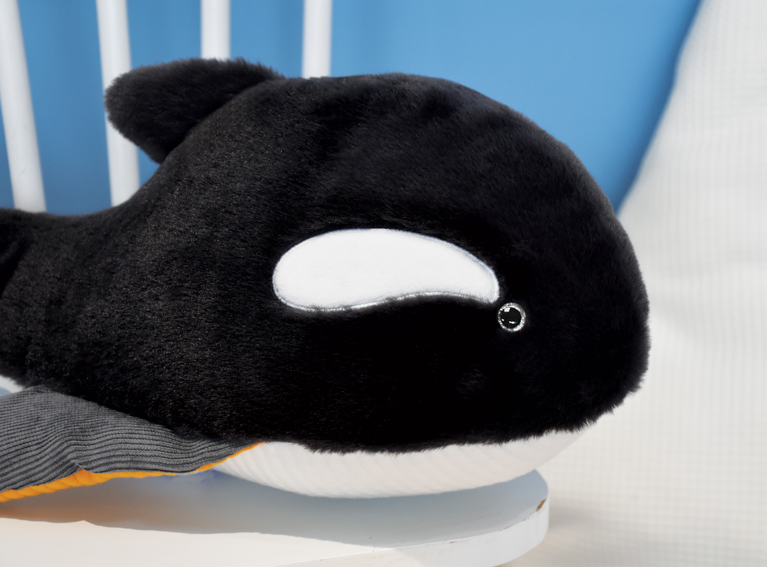 TRESORS MARINS ORCA - 4