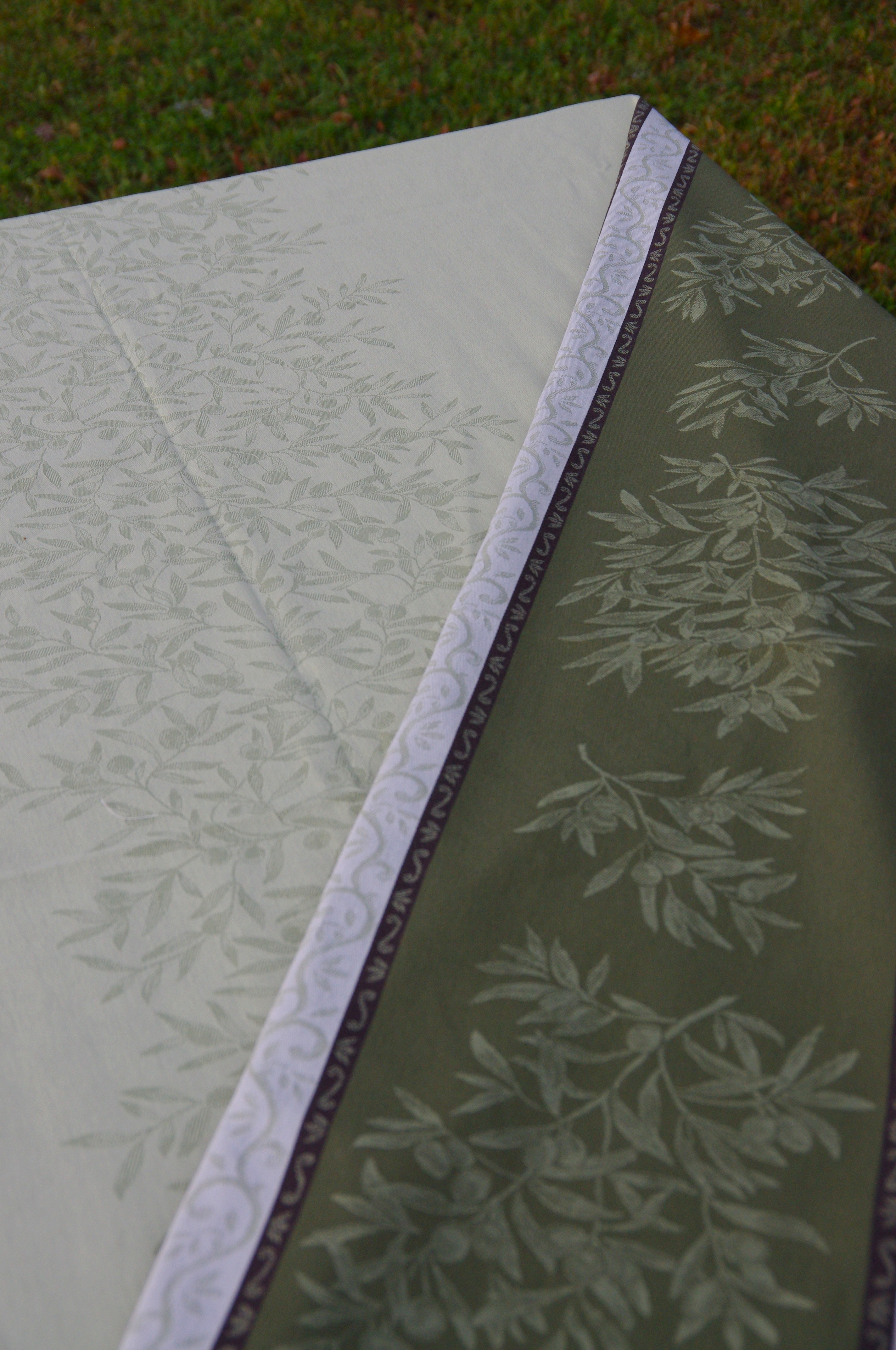 Duk Olive - 3