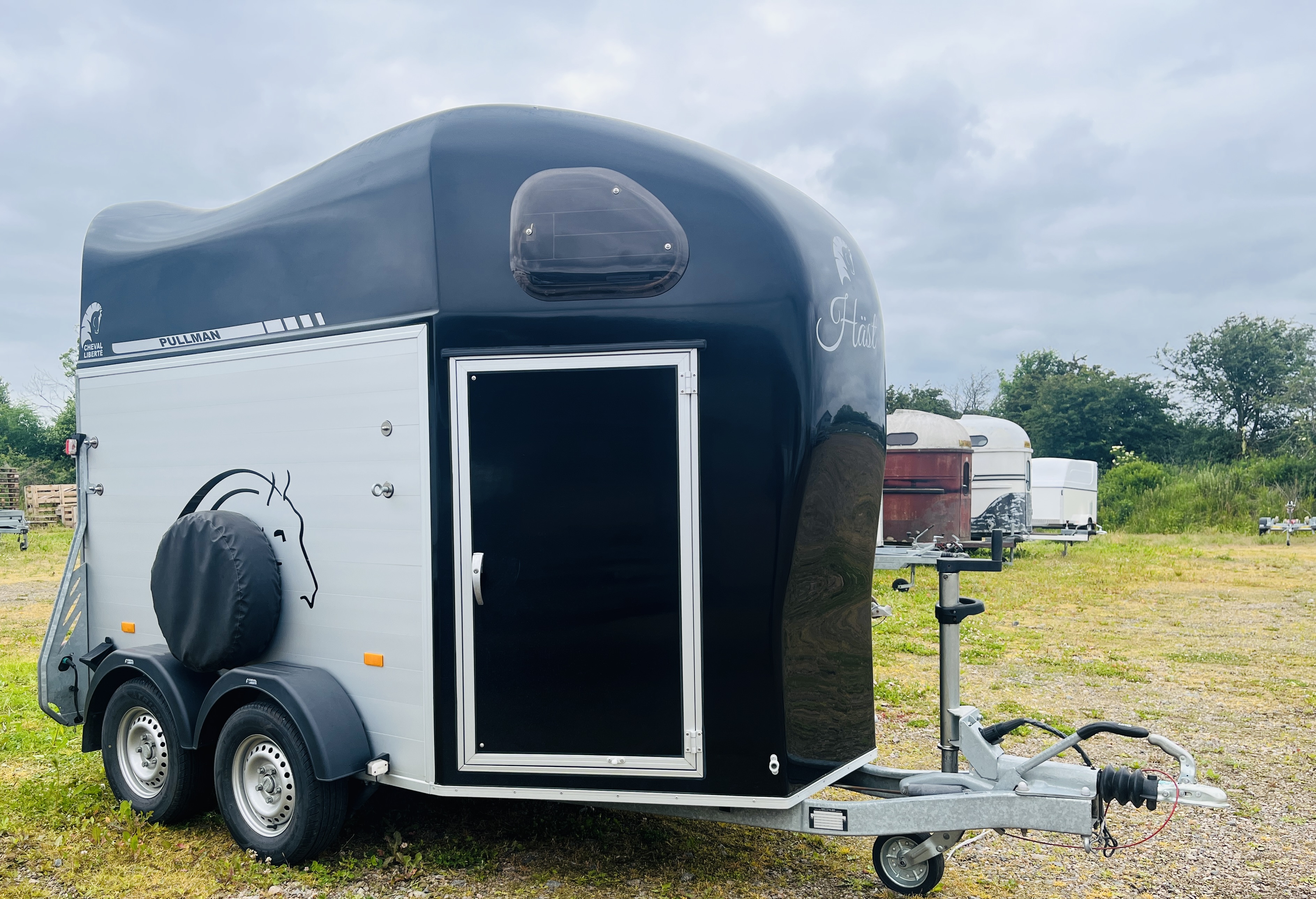 Cheval Liberté Gold 2  FDL28F 77000:- - 3