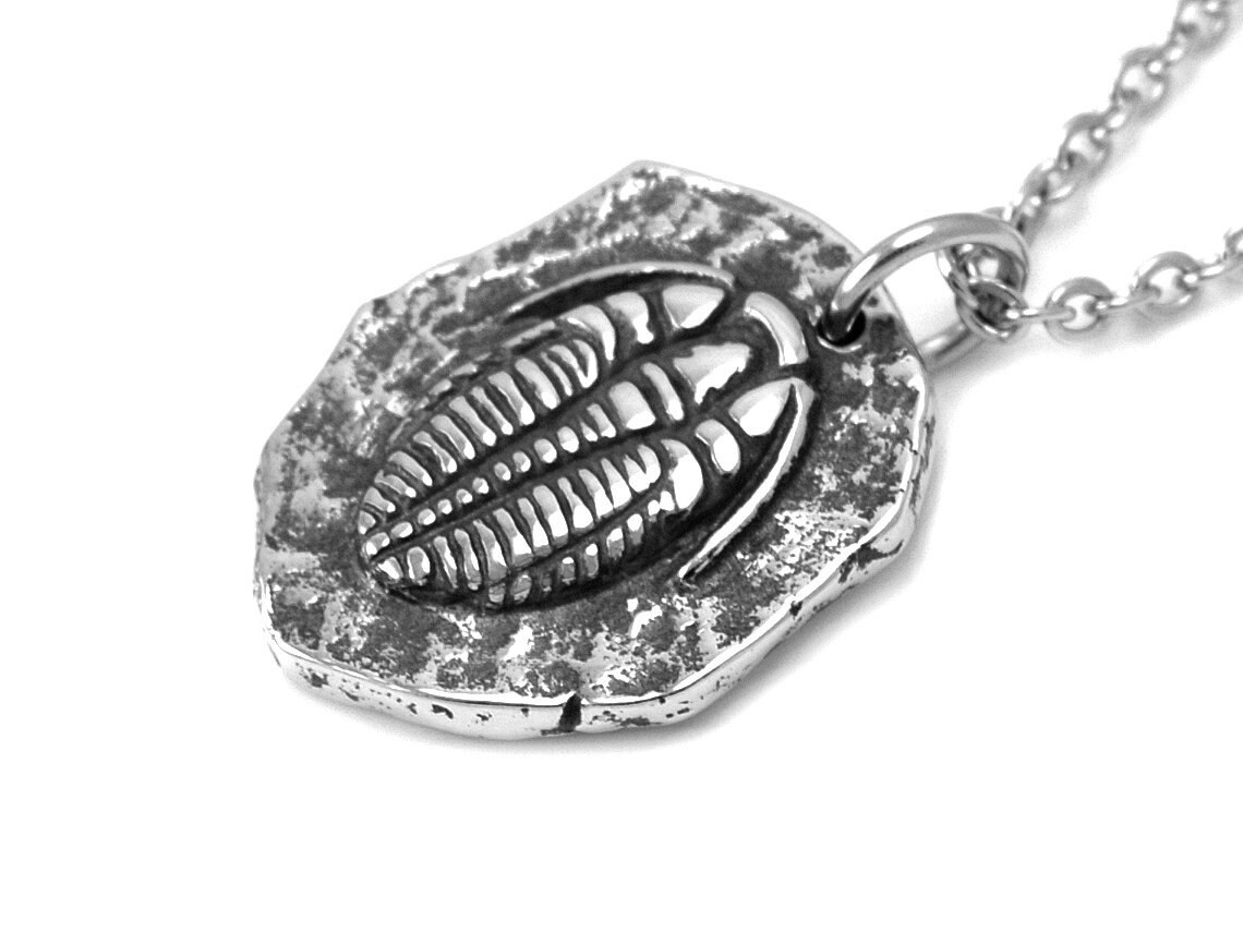 Trilobit Halsband, Handgjort Fossil Smycke - 2