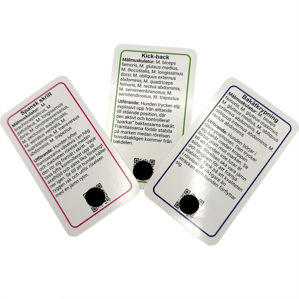 Strong dog without aids card game showing exercises