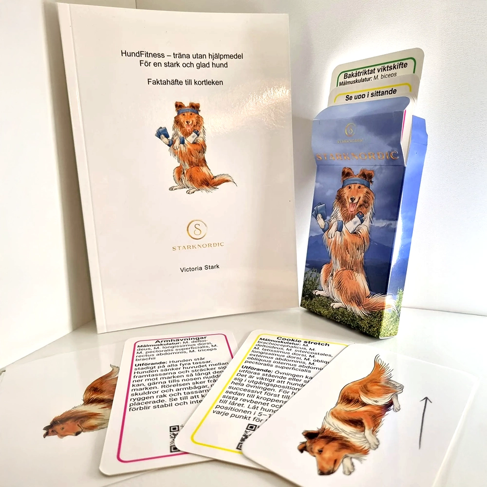DogFitness - deck card & booklet - 3