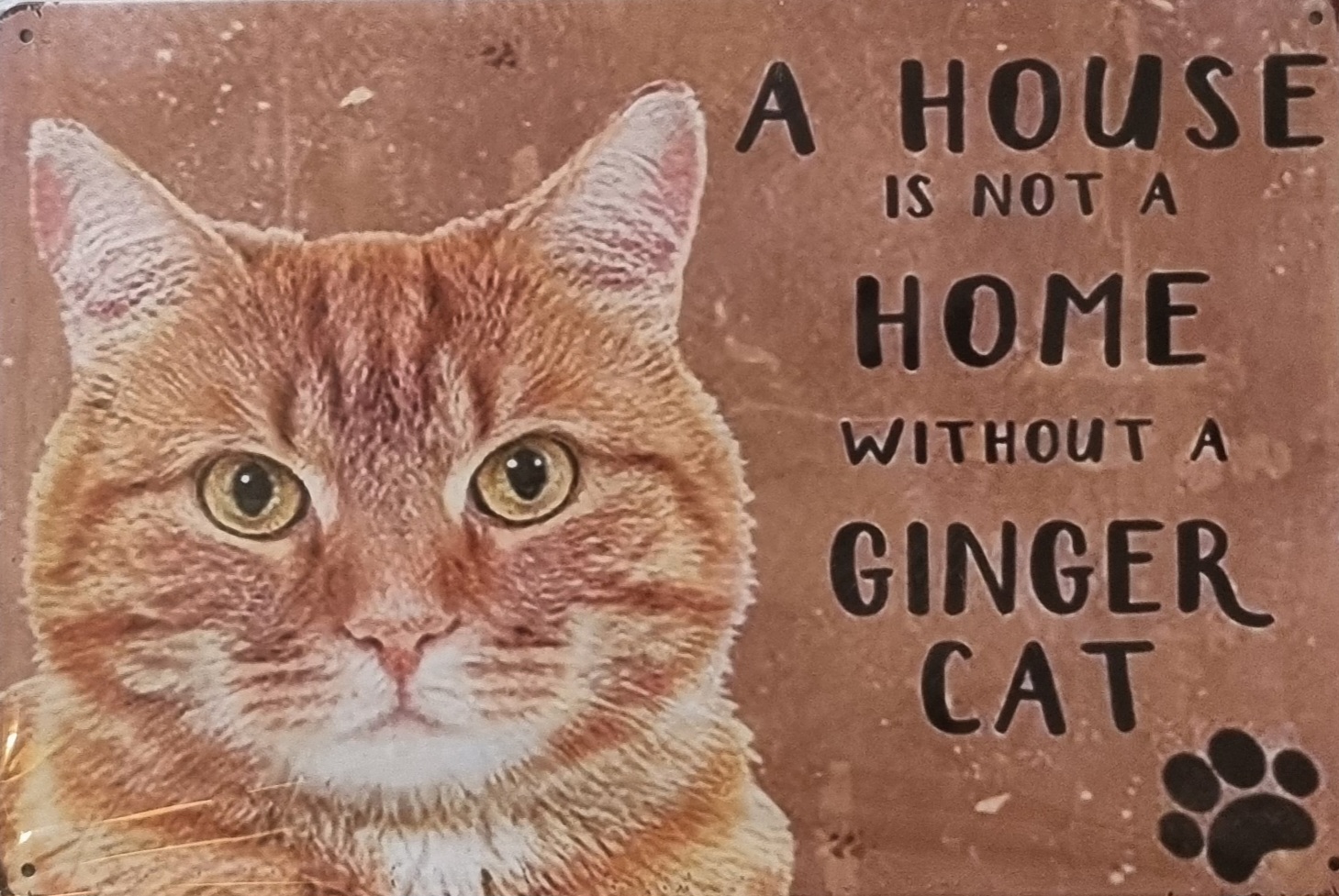Metallskylt "Ginger cat"