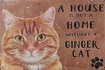 Metallskylt "Ginger cat"