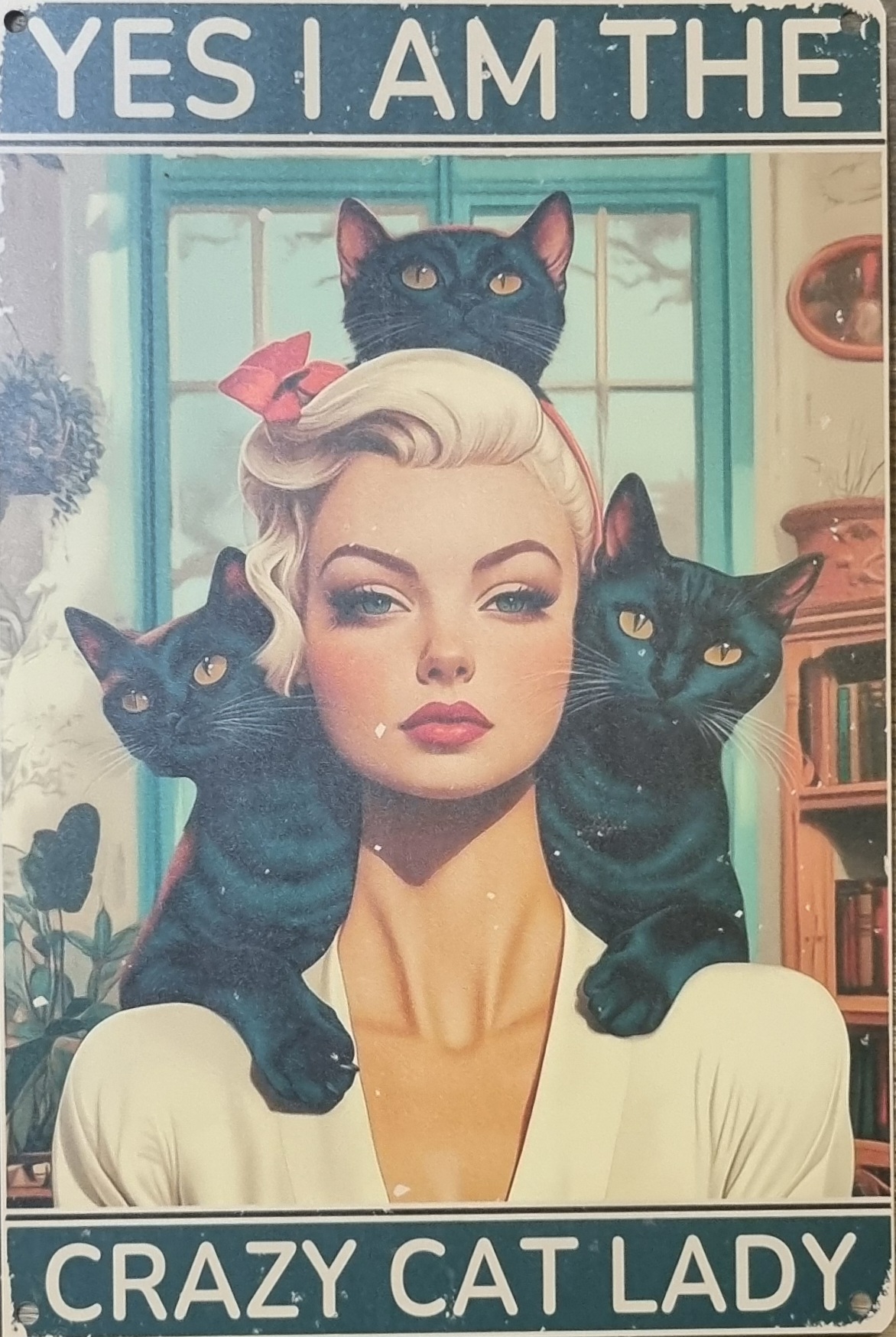 Metallskylt "I am the crazy catlady"