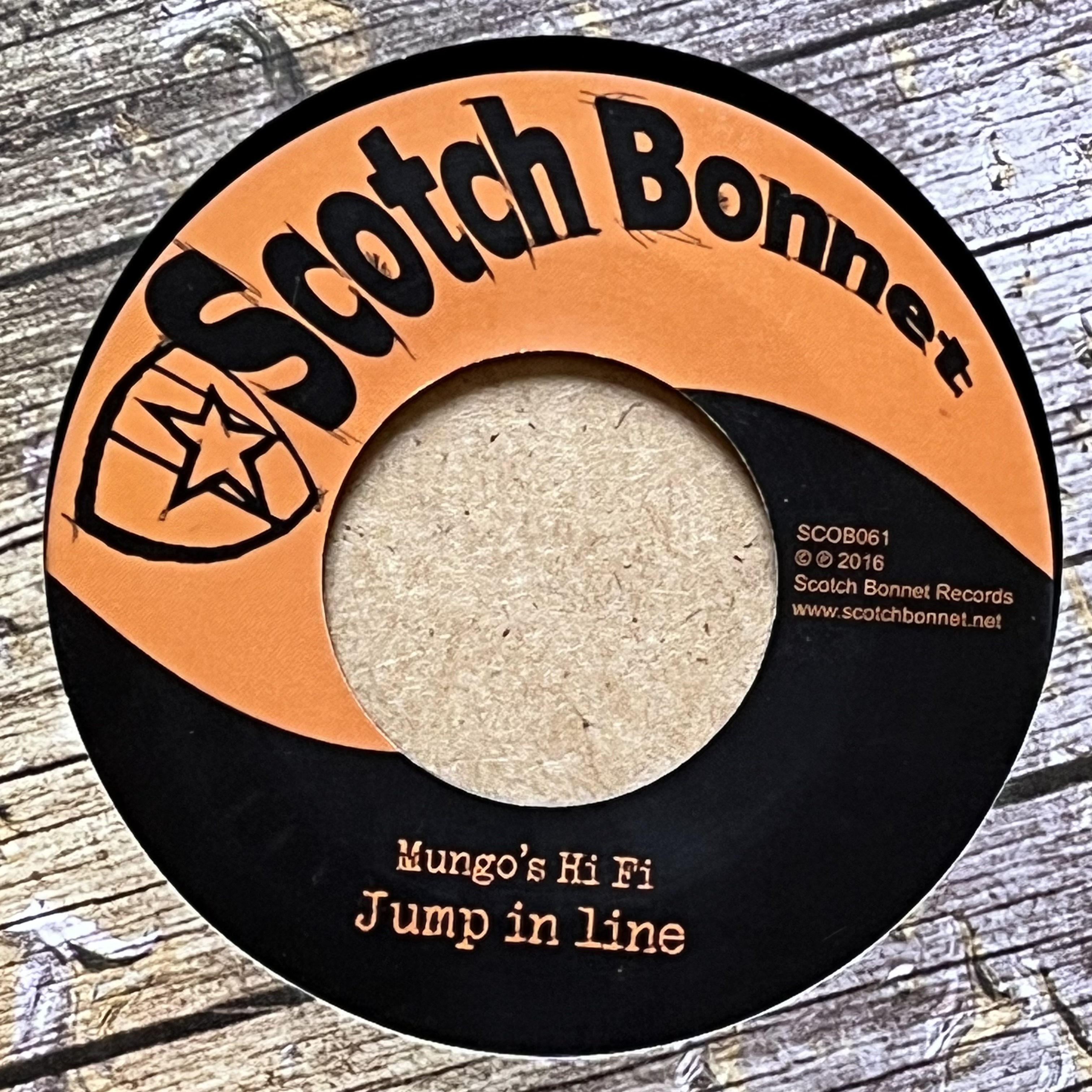 Mungo's Hi Fi – Jump In Line