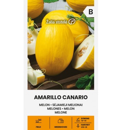 Melon "Amarillo Canario"