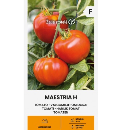 Tomat Maestria H