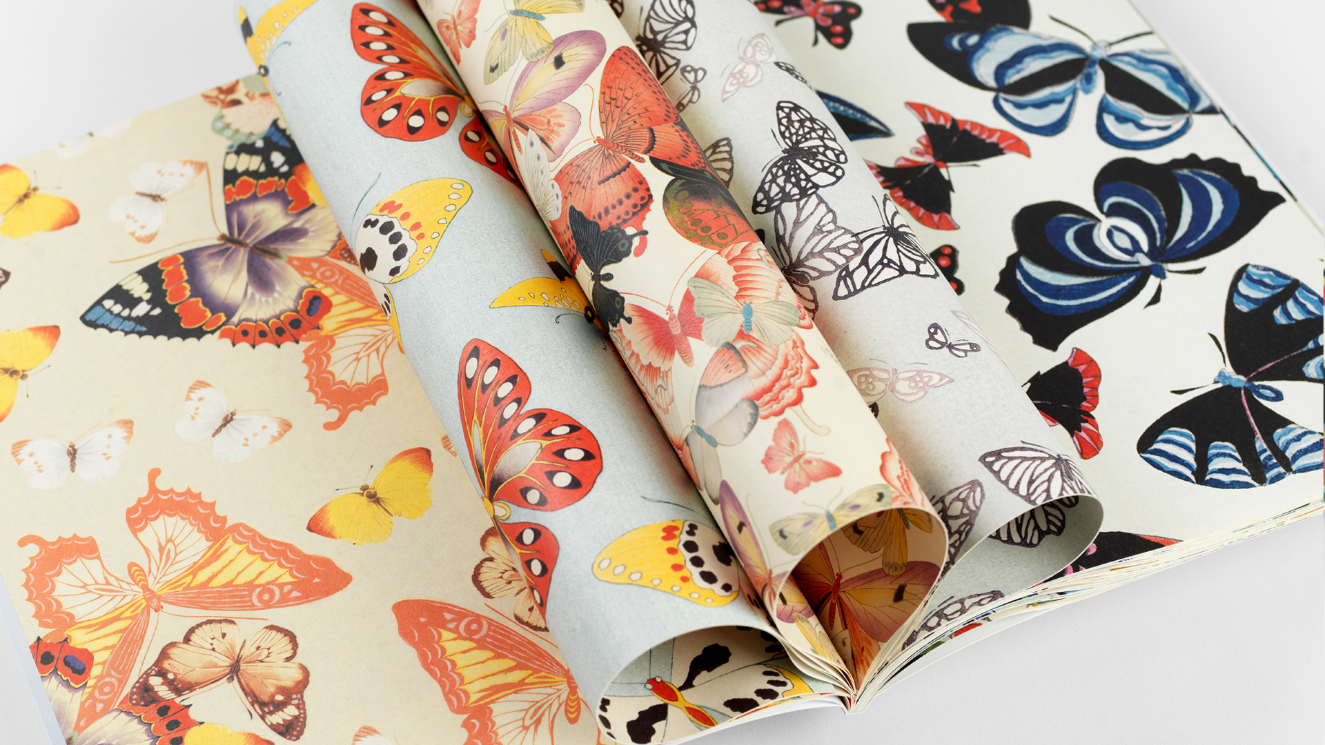 Japanese Butterflies, Gift & Creative Paper Book - 3