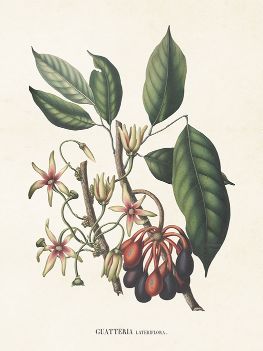 Miniposter "Kirimoja med blommor"18x24 cm - Sköna Ting