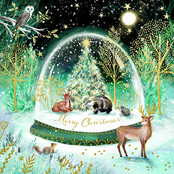 Magical Christmas, Christmas Box