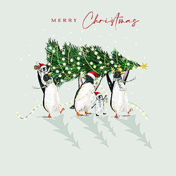 Penguin Party, Christmas Box