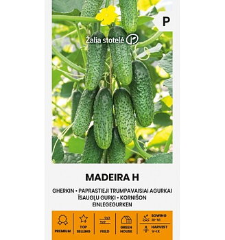 Gurka Madeira  H  - Odlarglädje!