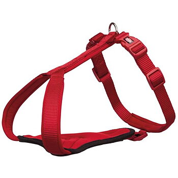 Premium Y-sele Röd L (75-95 cm)