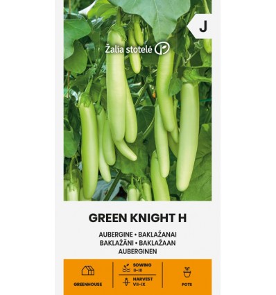 Aubergine "Green Knight H"