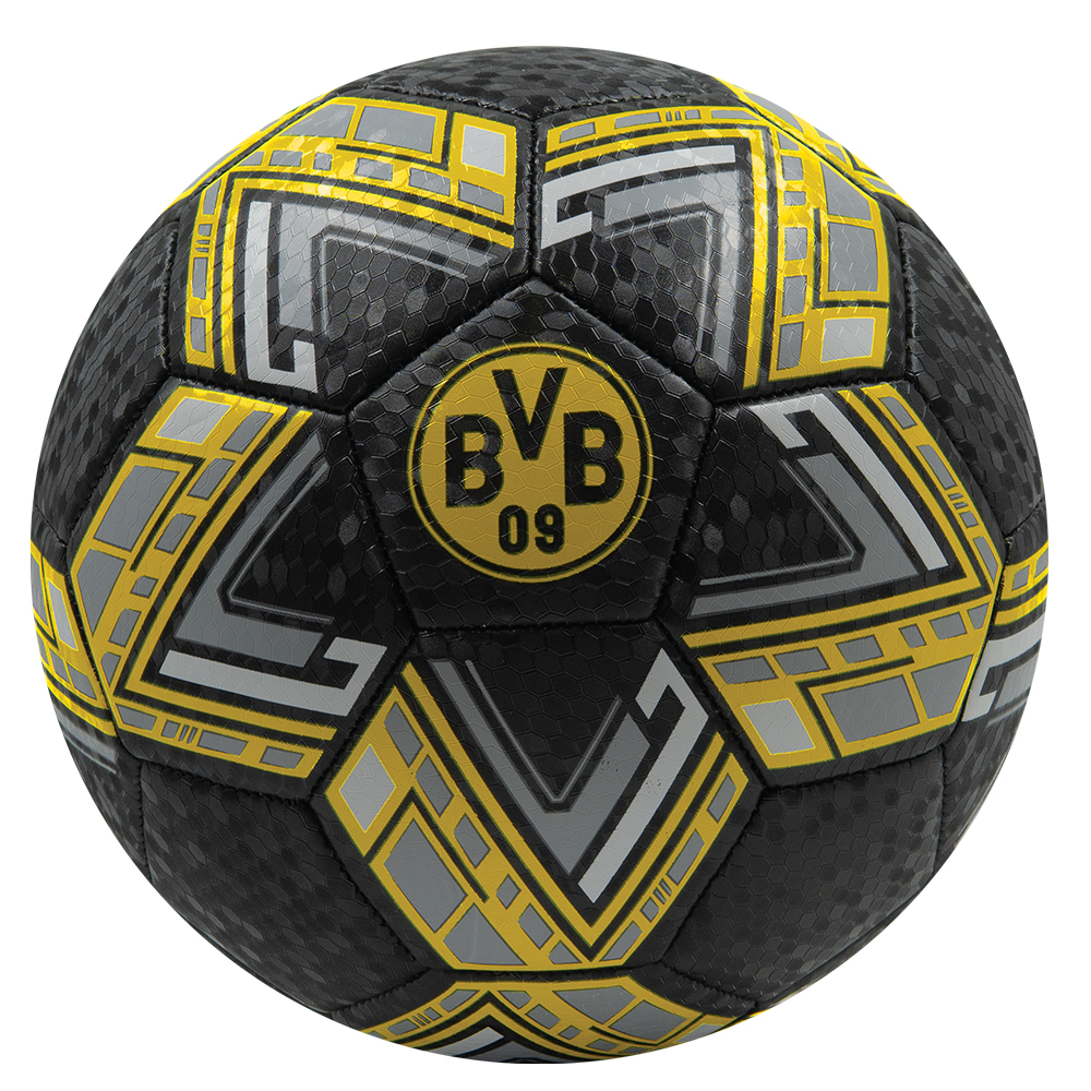 Fotboll Borussia Dortmund