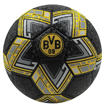 Fotboll Borussia Dortmund