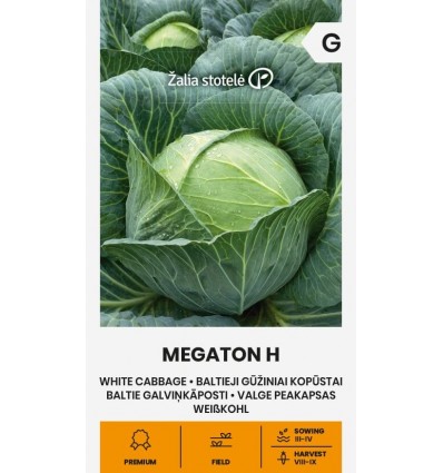 Vitkål "Megatron H"