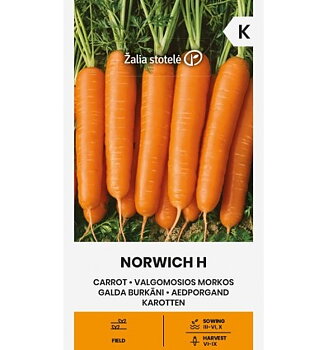 Morot Norwich H