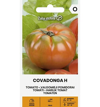 Tomat Covadonga H