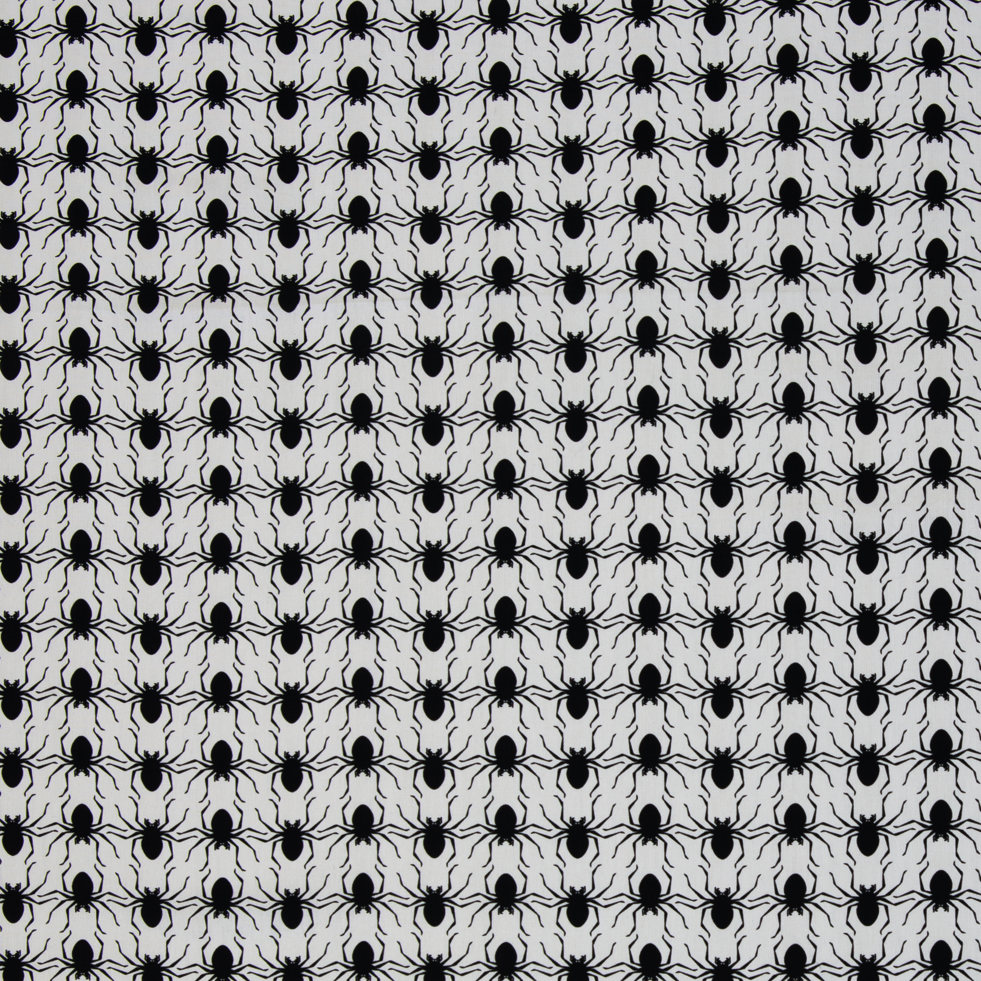 Spindlar Popliner - 2