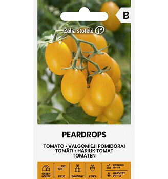 Ampeltomat Peardrops