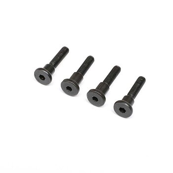 AXIAL Hinge Screw, Truggy Cage, SCX6 Honcho