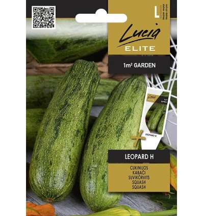 Squash Leopard H