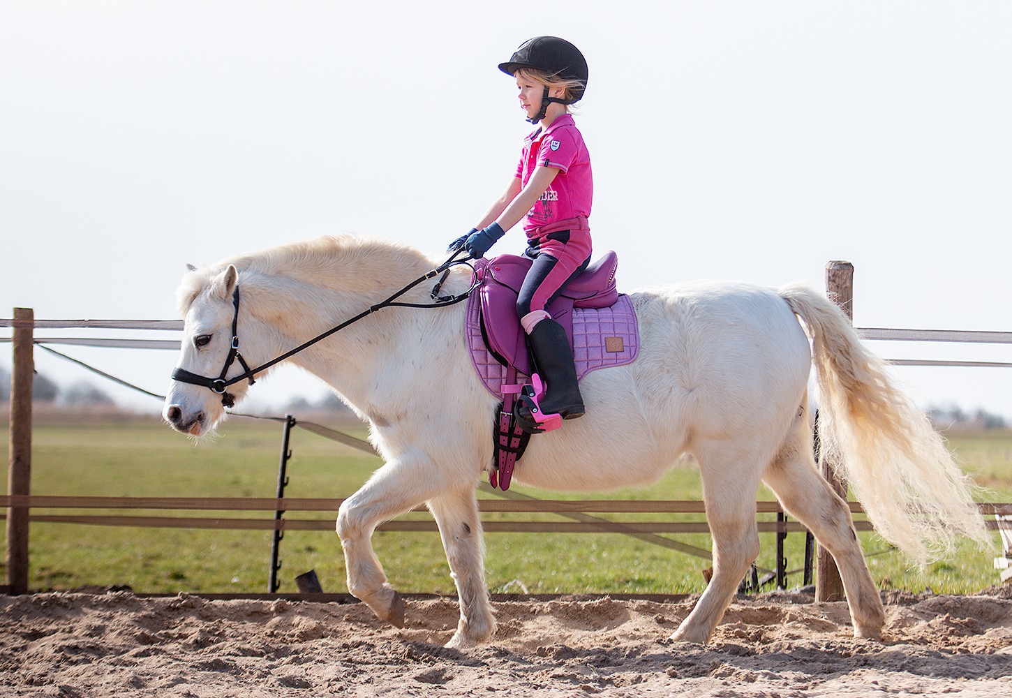 EDIX® Elore treeless pony saddle (dressage - 4