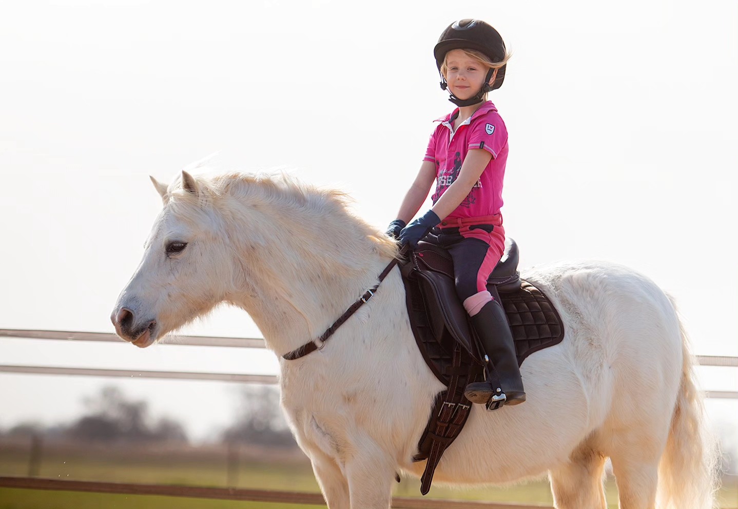 EDIX® Elore treeless pony saddle (dressage - 13