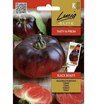 Tomat Black Beauty