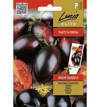 Tomat Night Shade Lucia Elite