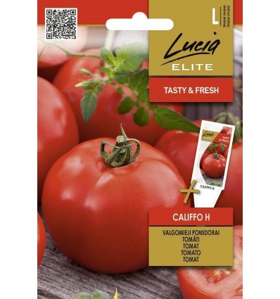Tomat Califfo H -Lucia Elite