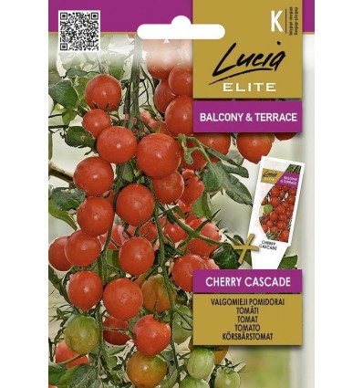 Ampeltomat Cherry Cascade Lucia Elite