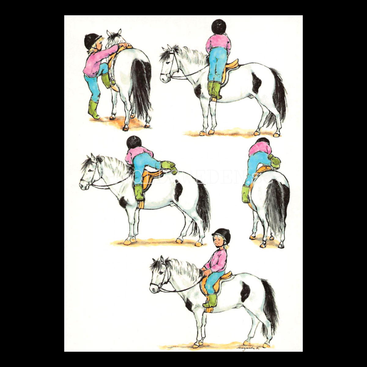 AMANDA - Kort galopp Amanda Nr: 1 - Margaretha Nordqvist  - Vykort A6 - 1851